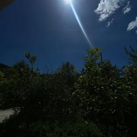 Alloggio in famiglia Jon Vlorë